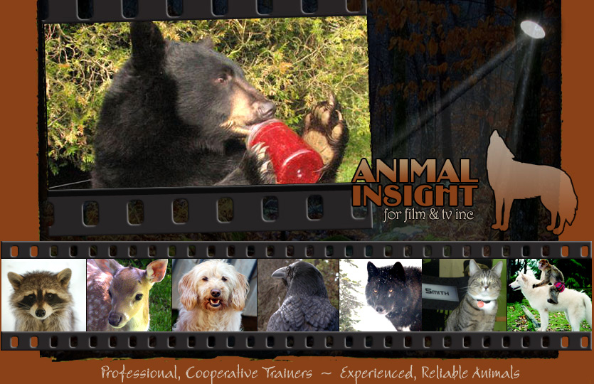 Animals for Film and TV